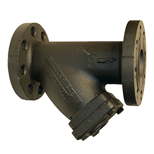 Cast Iron Y-Type Strainer